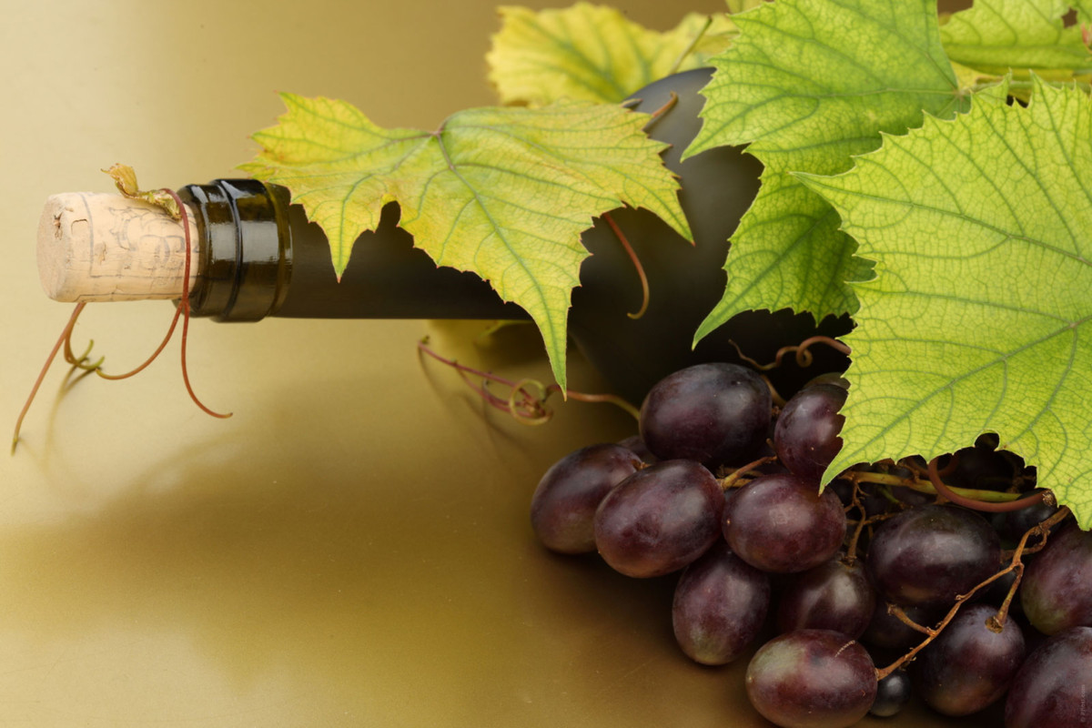 Your Wine Style